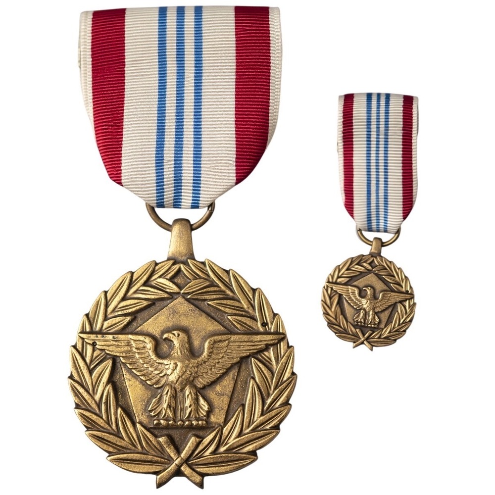 US Military Defense Meritorious Service Medal Bronze Eagle Set